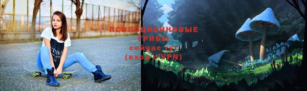 гашиш Белокуриха