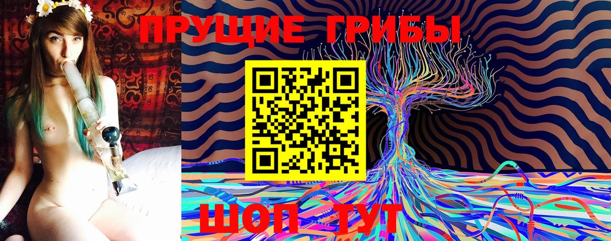 Гудермес  Галлюциногенные грибы прущие грибы  Вход с VPN 