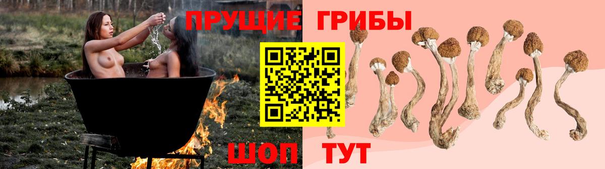 Псилоцибиновые грибы прущие грибы Гудермес